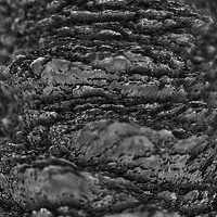 Black And White Loop GIF by xponentialdesign