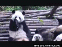 sneezing GIF