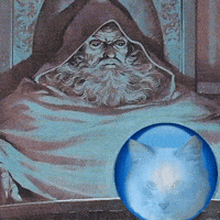 Who Up Wizard GIF