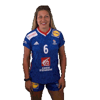 Ffhandball Sticker by Fédération Française de Handball