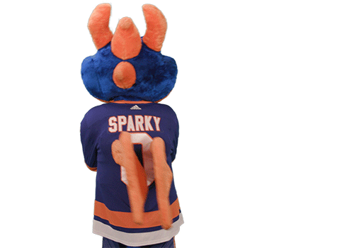 Ice Hockey Sport Sticker by NHL