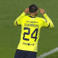 Football Vamos GIF by LDU_Oficial