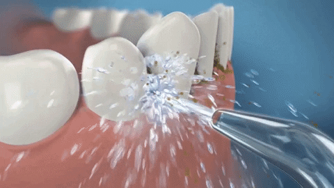 jeremyiu giphygifmaker GIF