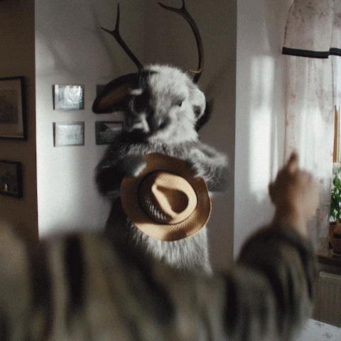 Kralik Zajic GIF by Fio banka