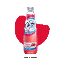 Drink Bebida Sticker by Caribe Cooler