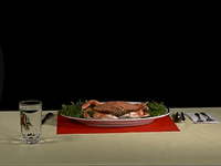 season 4 GIF by SpongeBob SquarePants