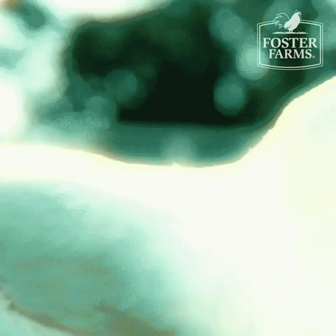 fosterfarms reaction chicken outside chicken dance GIF