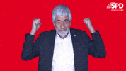 Spdbw Wow GIF by SPD Landtagsfraktion Baden-Württemberg