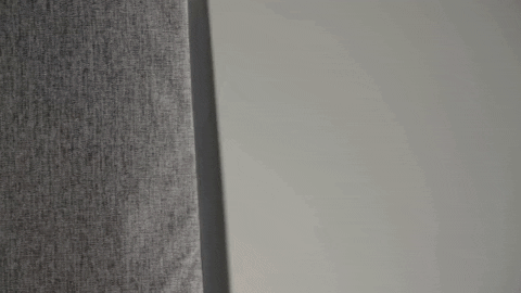 Pascal29992 giphyupload GIF