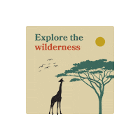 Summer Beach Sticker by Access Travel