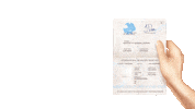 ennfly travel urlaub sonne strand Sticker