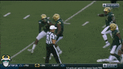 SoFloBulls usf usf bulls usf football soflobulls GIF