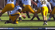 gostanford  GIF