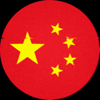 VoiceCrafters flag politics china chinese GIF