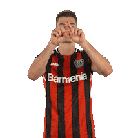 Assist Patrik Schick Sticker by Bayer 04 Leverkusen