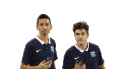 Staffsharks Sticker by Antibes Sharks