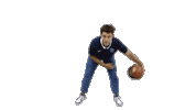 Active Sticker by Antibes Sharks