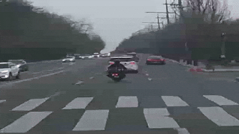 jmy0334 giphyupload GIF
