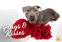 I Love You Kiss GIF by Best Friends Animal Society