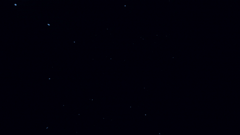 Animation Logo GIF by ABARTH