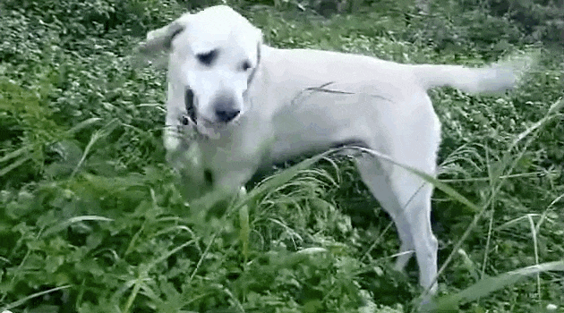 instagood GIF