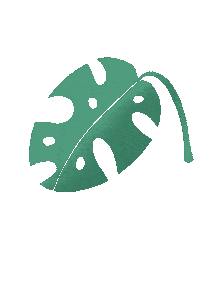 chenziok nature leave hoja luciachierri Sticker