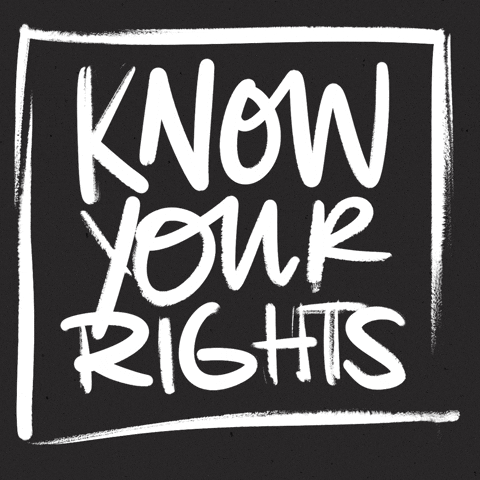 Social Justice Protest GIF by All Better