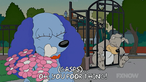 Episode 12 Dogs GIF by The Simpsons
