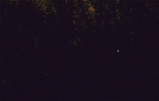 forest shadow GIF by hateplow