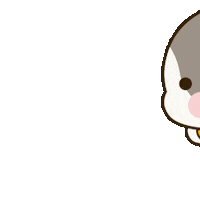 Katercat cat kat kater run fast Sticker