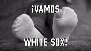 ยกVamos White Sox!