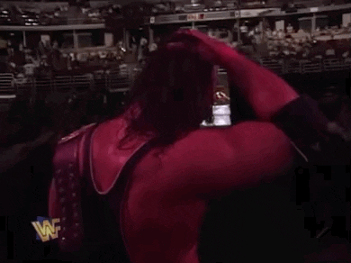 bret hart wrestling GIF by WWE
