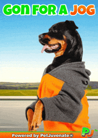 Awesome Boi Pupper Dog Pj GIF by PetJuvenate - PJ
