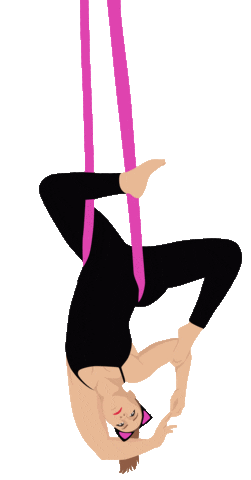 Cirque Circuslife Sticker by CT Aerial Yoga