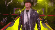 Chris Jericho ÄEw GIF by All Elite Wrestling on TNT