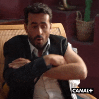 Fun Lol GIF by CANAL+