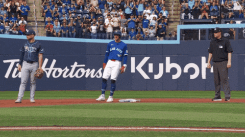 Celebrate Lets Go GIF by Toronto Blue Jays