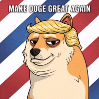 Donald Trump Politics GIF by Doge Pound