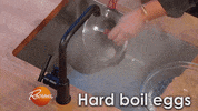 rachel salad GIF by Rachael Ray Show