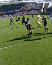 Blauw-Zwart GIF by Club Brugge