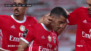 Sl Benfica Hug GIF by Sport Lisboa e Benfica