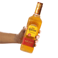 Blue Agave Shot Sticker by JoseCuervoBrasil