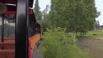 alaska GIF