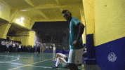 happy dance GIF by SE Palmeiras