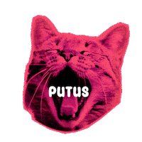 Cat Love Sticker by Seorang Zaki