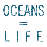 Summer Life Sticker by parley