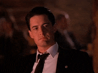 season 1 agent cooper GIF by Twin Peaks on Showtime
