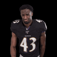 Baltimore Ravens Football GIF by NFL