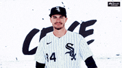Major League Baseball Dance GIF by NBC Sports Chicago