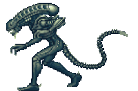 internet lol Sticker by haydiroket (Mert Keskin)